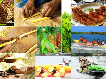 Collage of Bentota Sri Lanka activities including beach, river safari, water sports, and cultural attractions