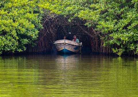 Madu River safari boat in Bentota, one of the relaxing activity to do