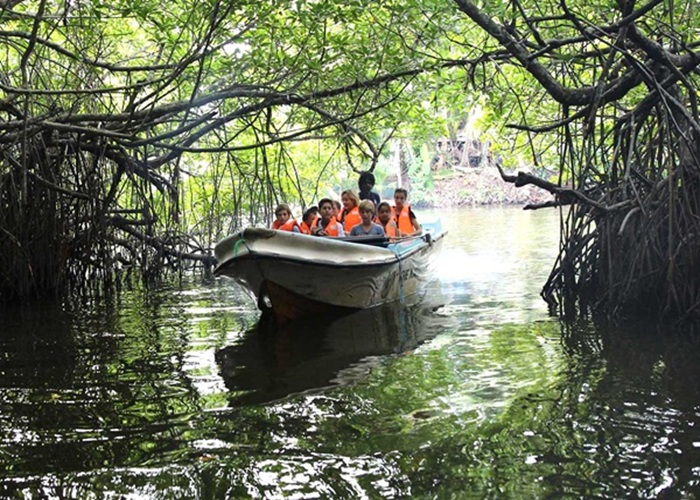 Madu River safari in Sri Lanka – a top thing to do for nature and wildlife lovers