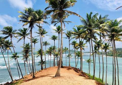 Coconut Tree Hill in Mirissa, a famous Instagram photo spot