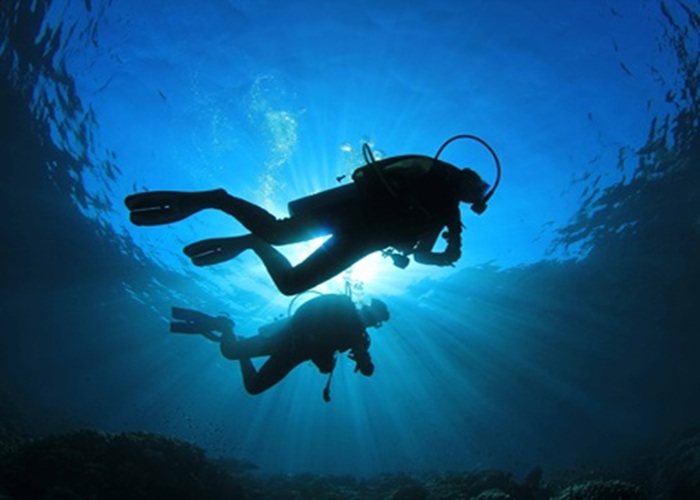 Snorkeling and diving in Sri Lanka – colorful coral reefs and marine life