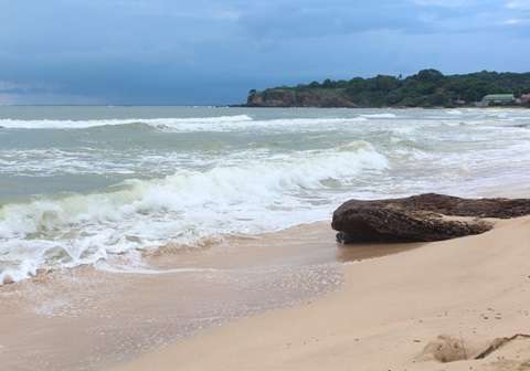 Trincomalee Beach with blue waters and palm trees