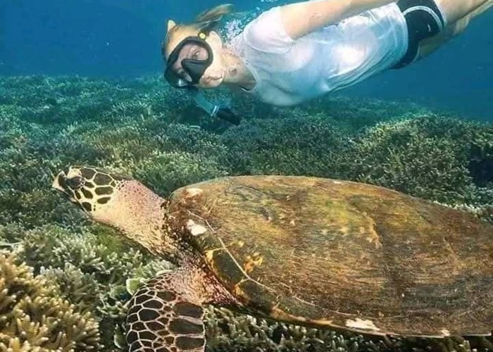 Snorkeler swimming alongside a sea turtle in Sri Lanka.