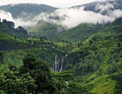 Airport taxi service to Nuwara Eliya hill country