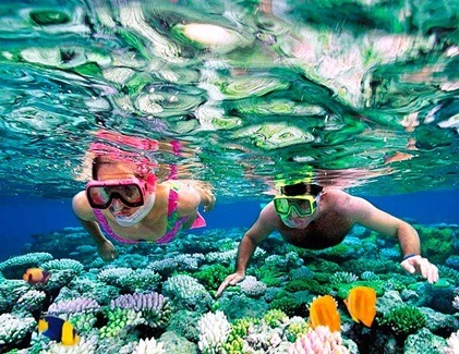 Couple snorkeling over vibrant coral reefs in Sri Lanka