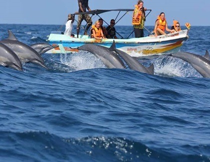People watching dolphins on a boat trip in Kalpitiya