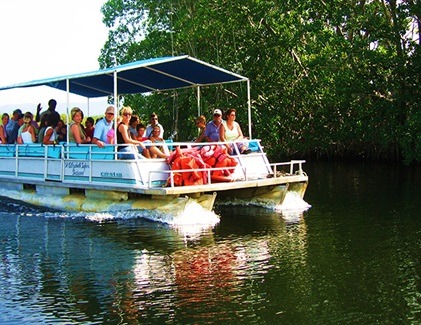 Traditional boat sailing along the calm waters of Madu River, Sri Lanka