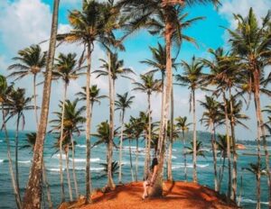 Private car transfer to Mirissa beach resorts
