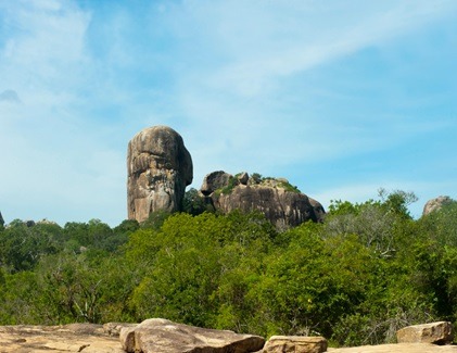 Distant view of large rock with trees in yala national park