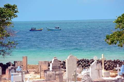Beach view on Delft Island near Jaffna Sri Lanka