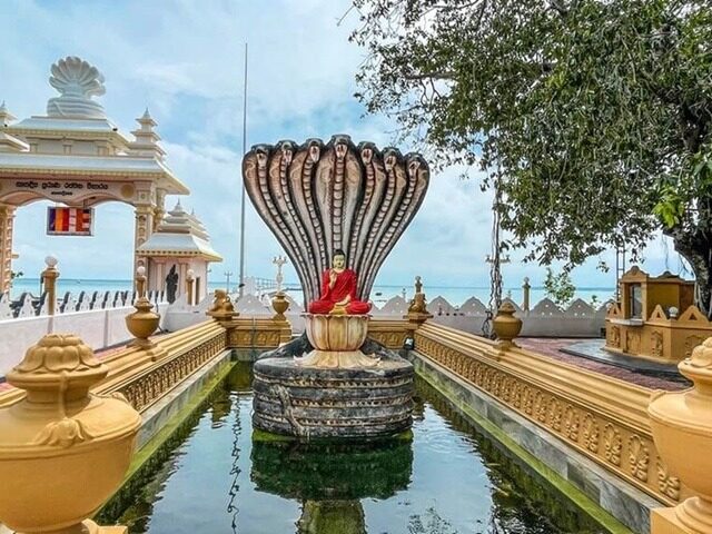Nagadeepa Temple Buddha statue covered by sacred snakes