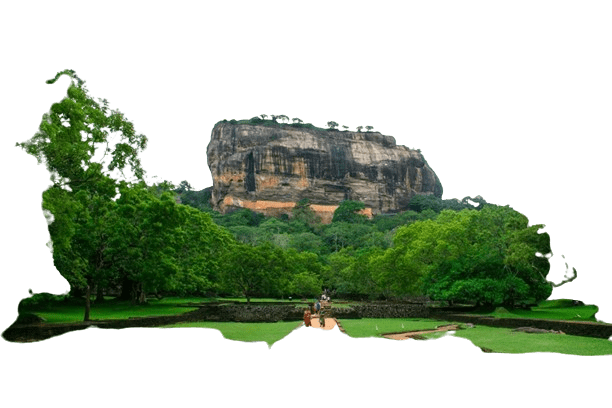 Sigiriya Lion Rock fortress surrounded by lush forest and gardens