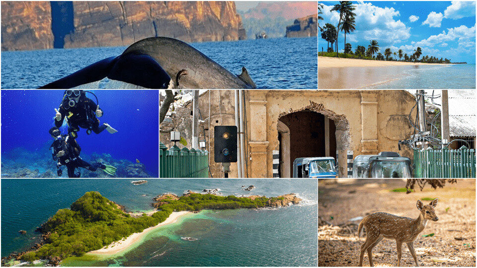 Collage of Trincomalee attractions and activities