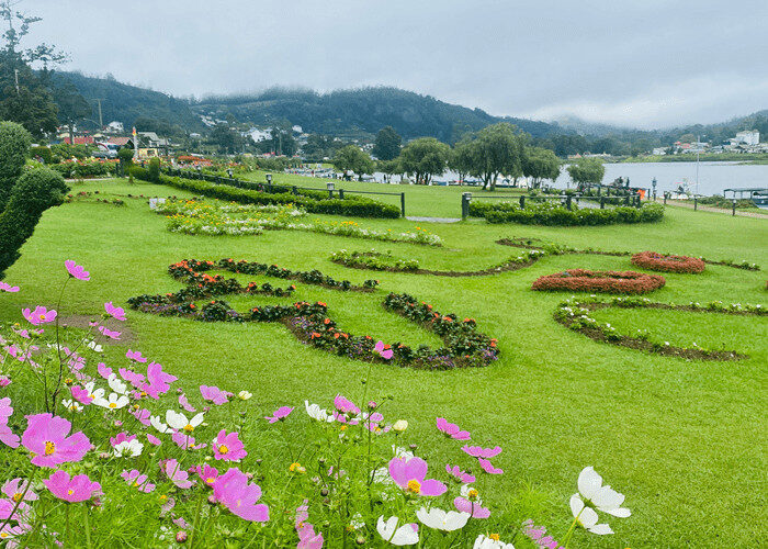 Gregory Lake with flowers and grassy banks in Nuwara Eliya Sri Lanka