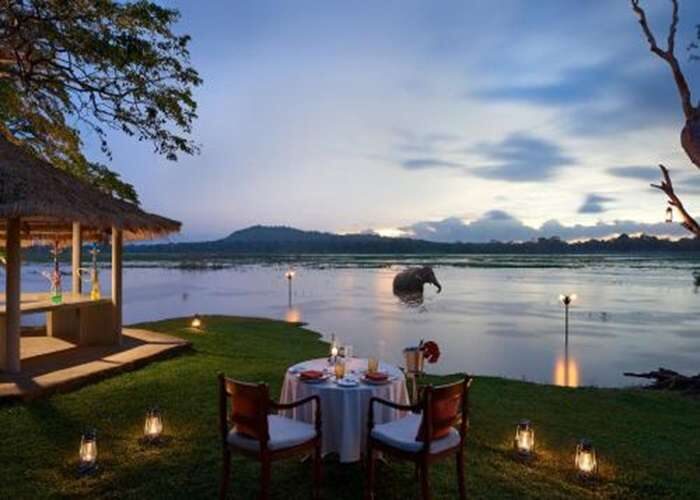 Candlelight dinner by the lake with elephant at Habarana Village by Cinnamon