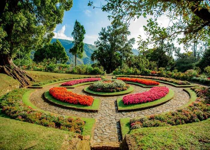 Flowers in bloom at Hakgala Botanical Garden