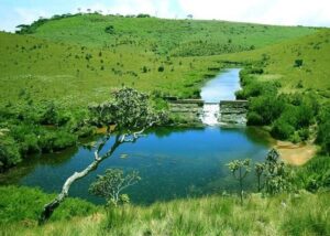 Small pond surrounded by grasslands at Horton Plains