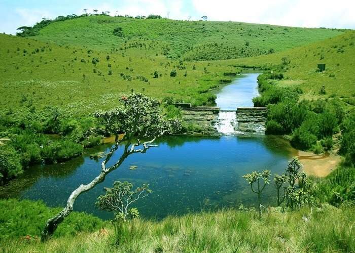 Small pond surrounded by grasslands at Horton Plains
