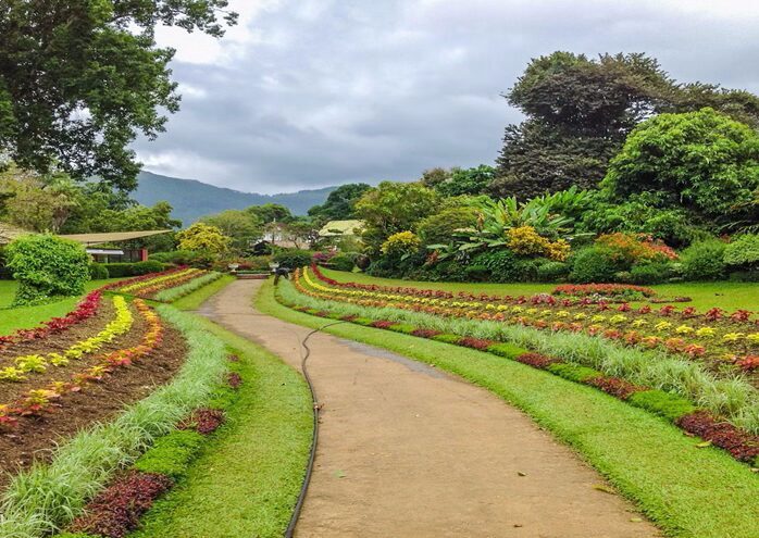 Victoria Park garden pathway in Nuwara Eliya town