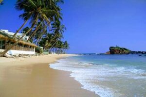Mirissa beach with calm sea and coconut trees