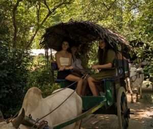 Traditional bullock cart traveling along a village path during a Sigiriya village tour experience