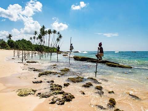 Traditional stilt fishermen fishing in Mirissa, Sri Lanka