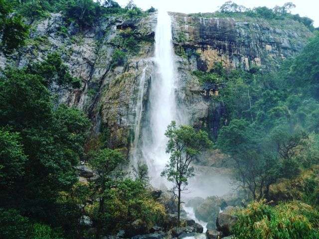 Diyaluma Waterfall cascading down a rocky cliff surrounded by green landscape in Sri Lanka