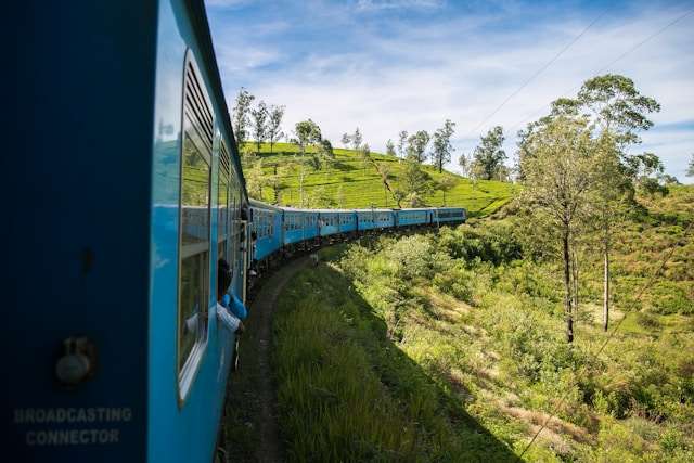 Blue train travelling through tea plantations on the Nanu Oya to Ella scenic railway route in Sri Lanka