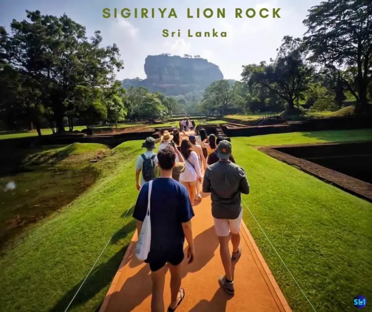 Guests walking towards Sigiriya Lion Rock in Sri Lanka