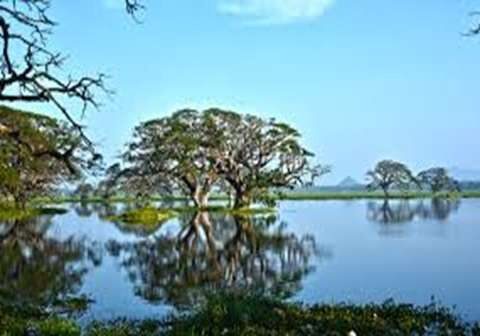 Tissa Wewa lake in Tissamaharama Sri Lanka